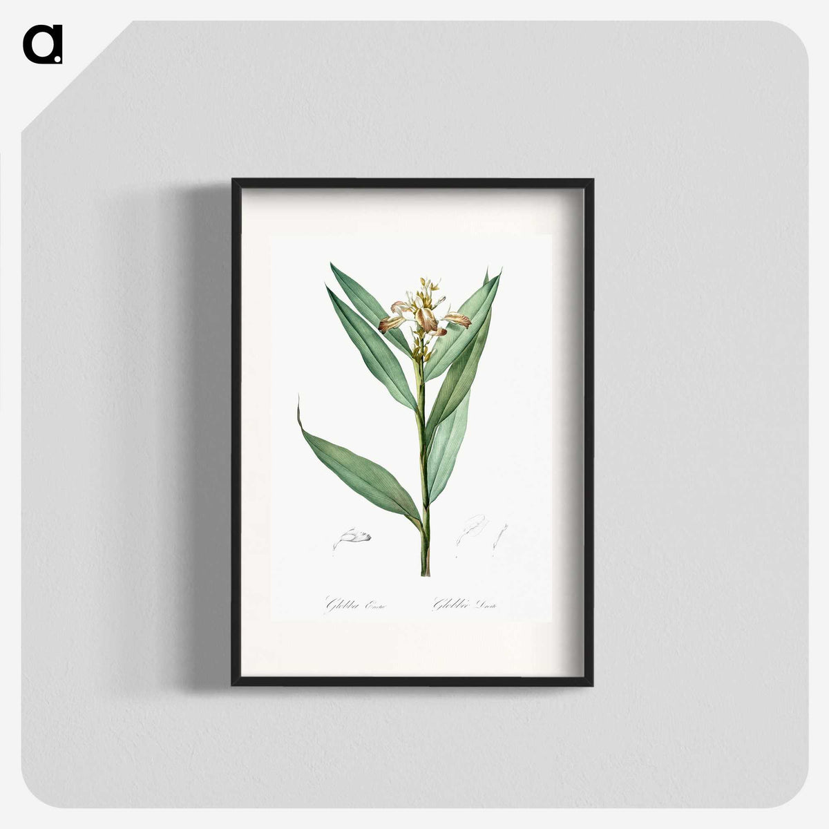 3-44_The-Lilies_blk