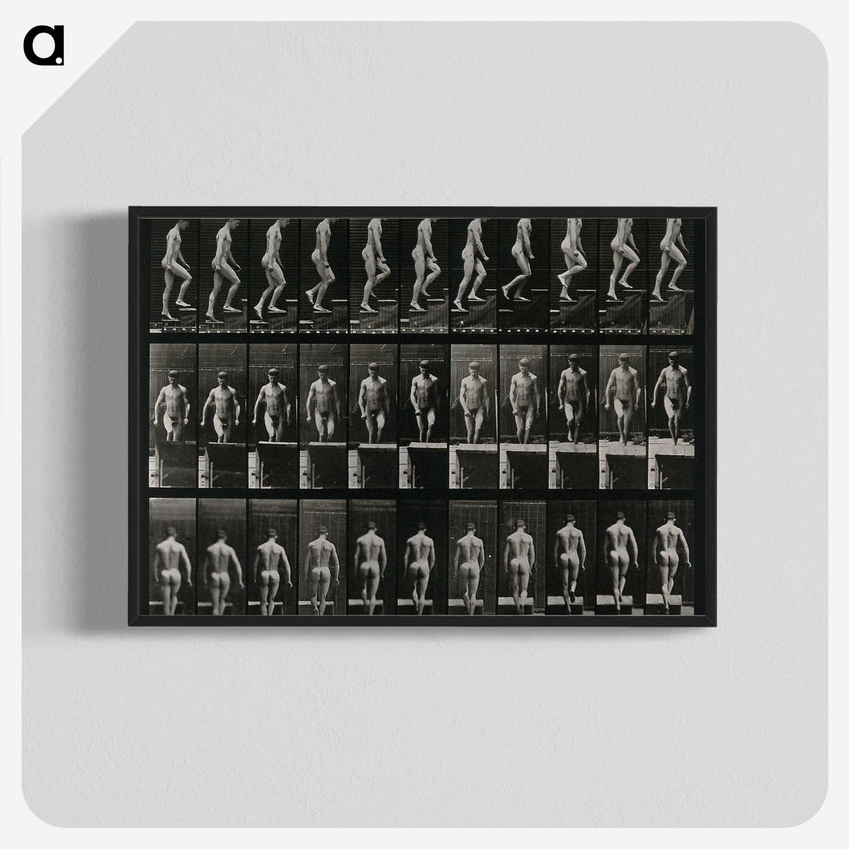 3-45_Eadweard-Muybridge_blk-crop