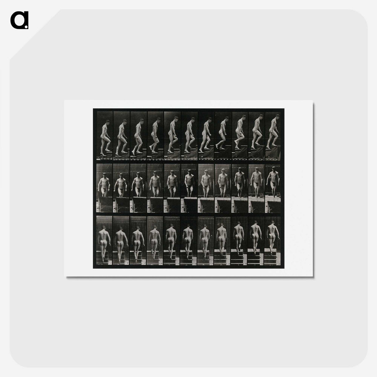 3-45_Eadweard-Muybridge_hagaki