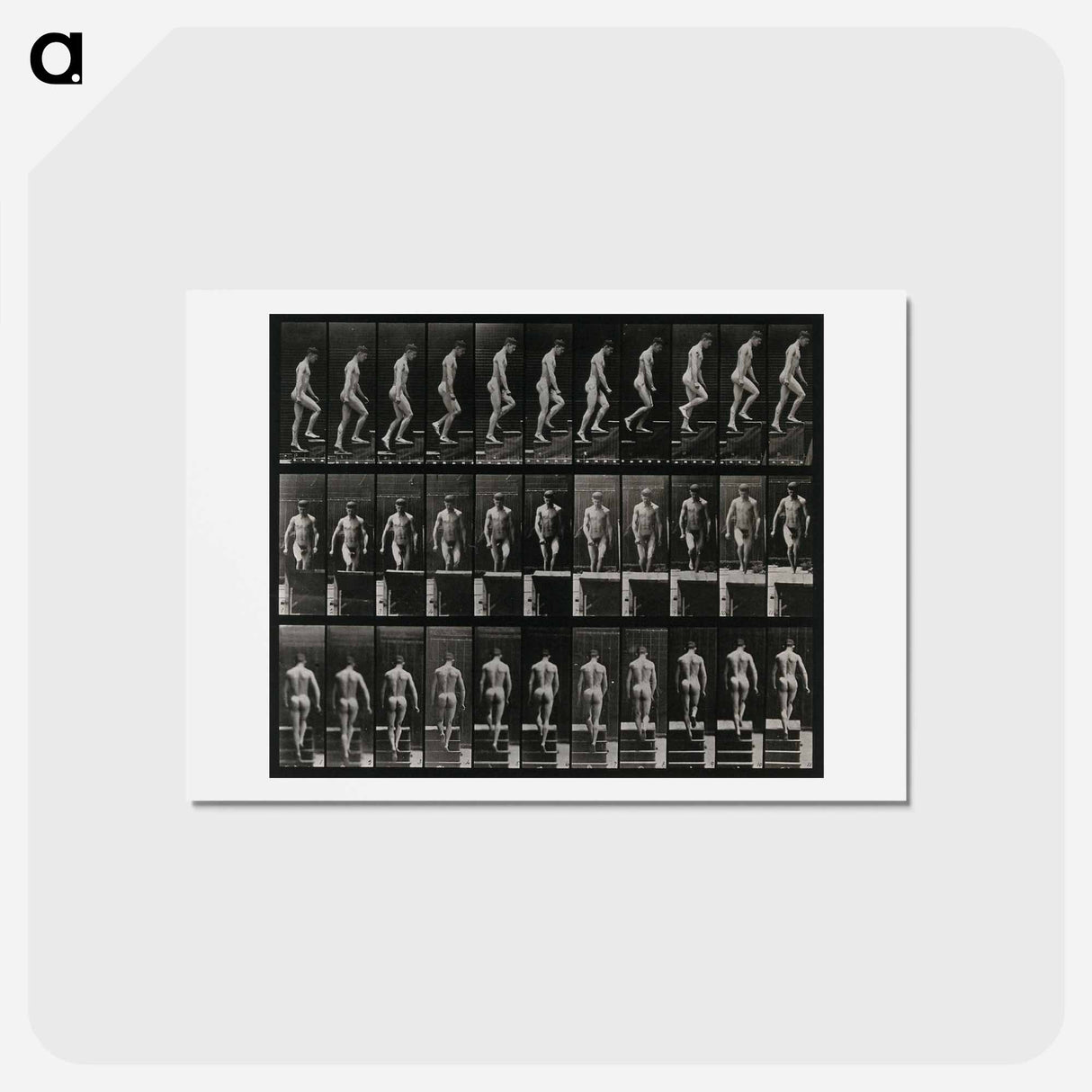 アートポストカード-Ascending
- エドワード マイブリッジ Postcard.