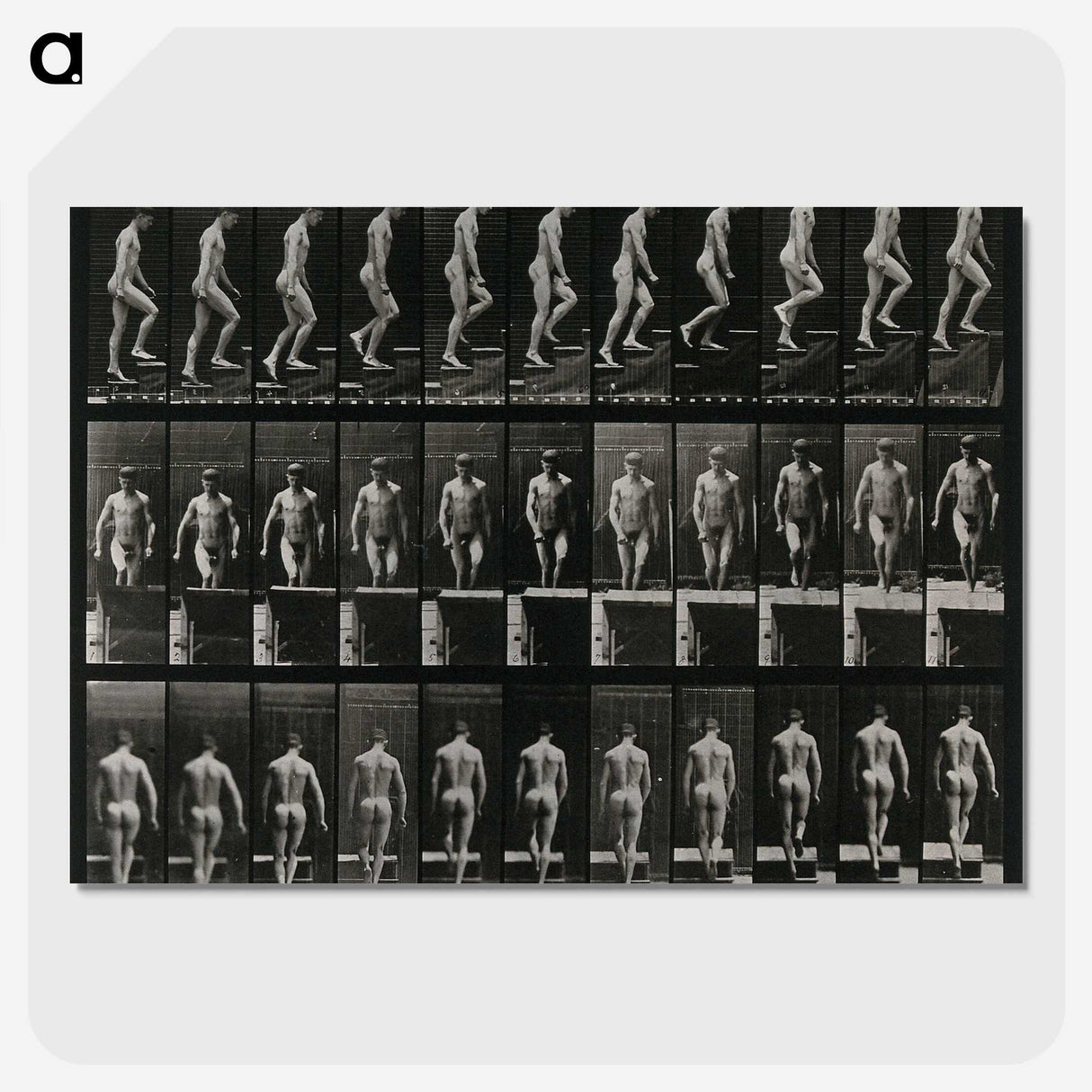 3-45_Eadweard-Muybridge_picture-crop