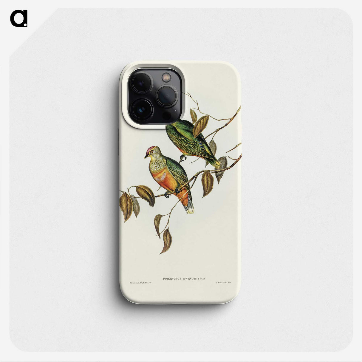 3-45_John-Gould_phone