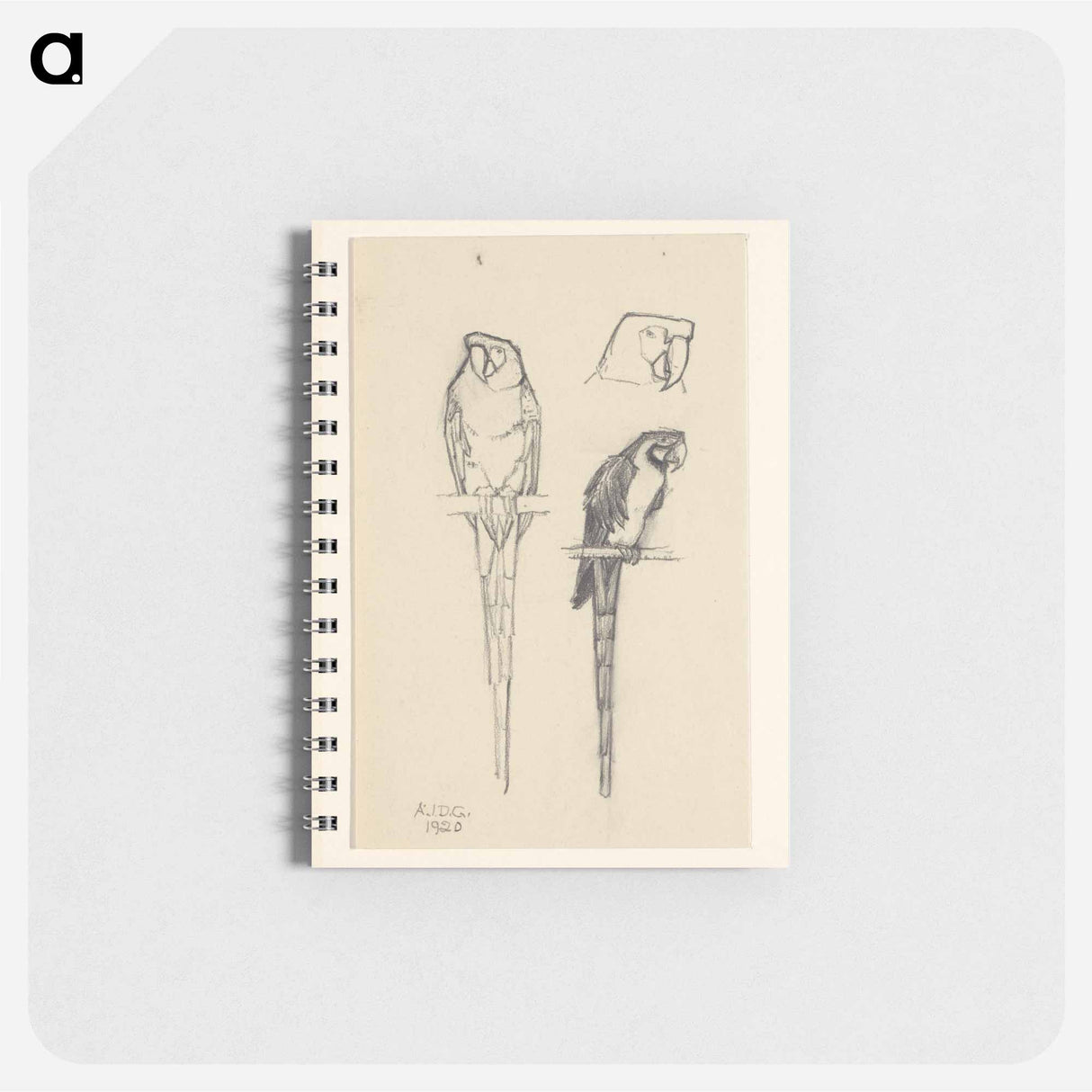 Papegaaien - ユリー デ フラーハ Memo.