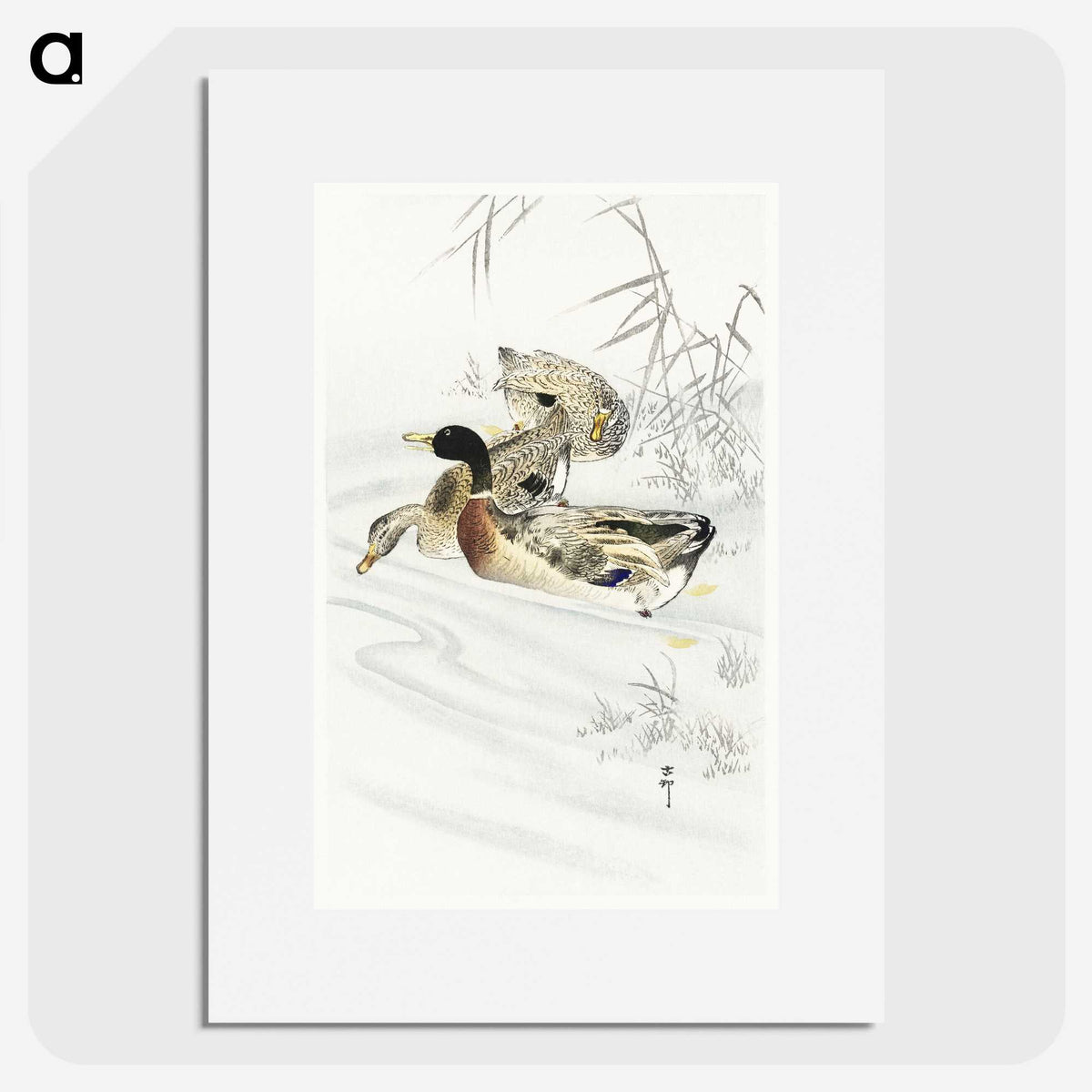 3-45_Ohara-Koson_picture