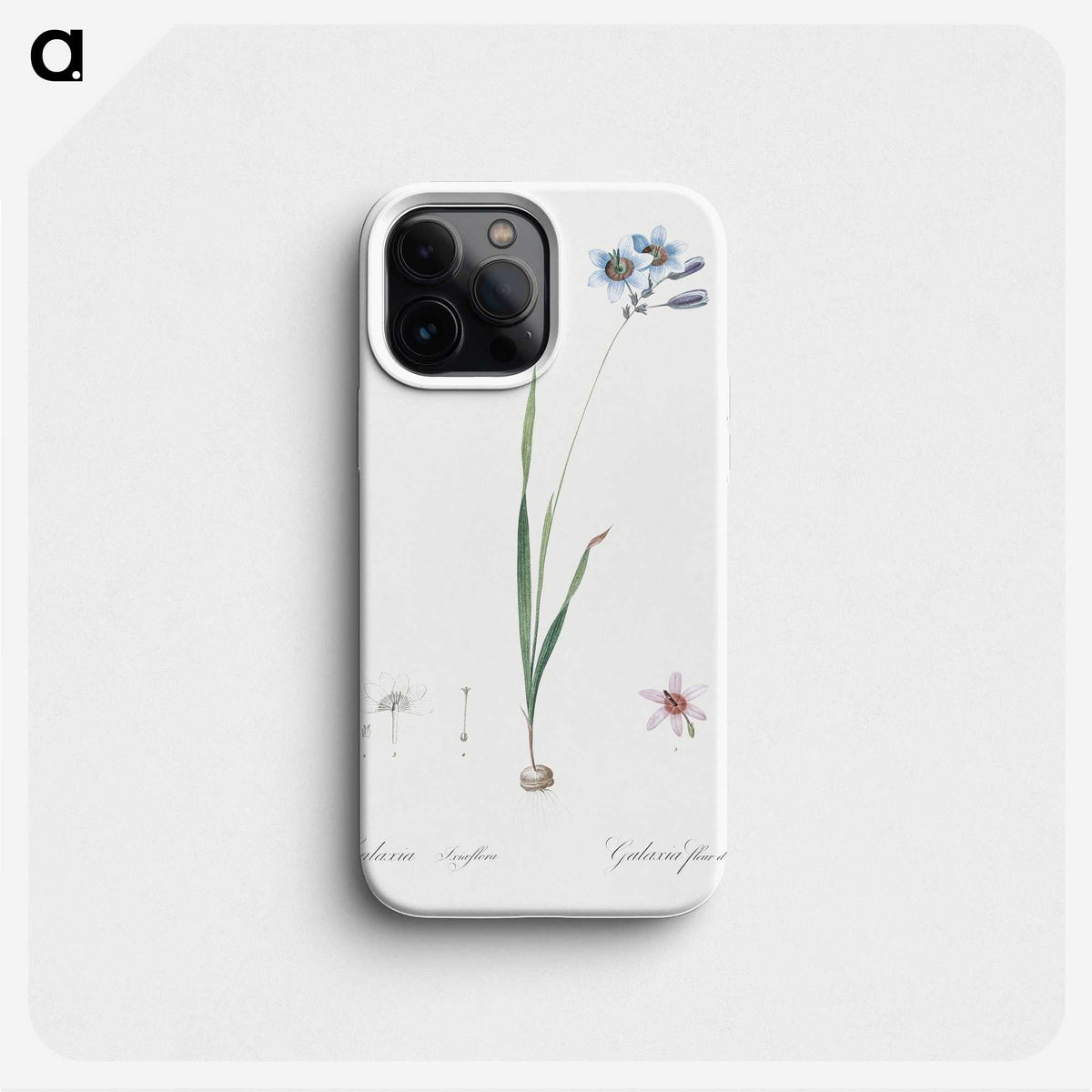 3-45_The-Lilies_phone