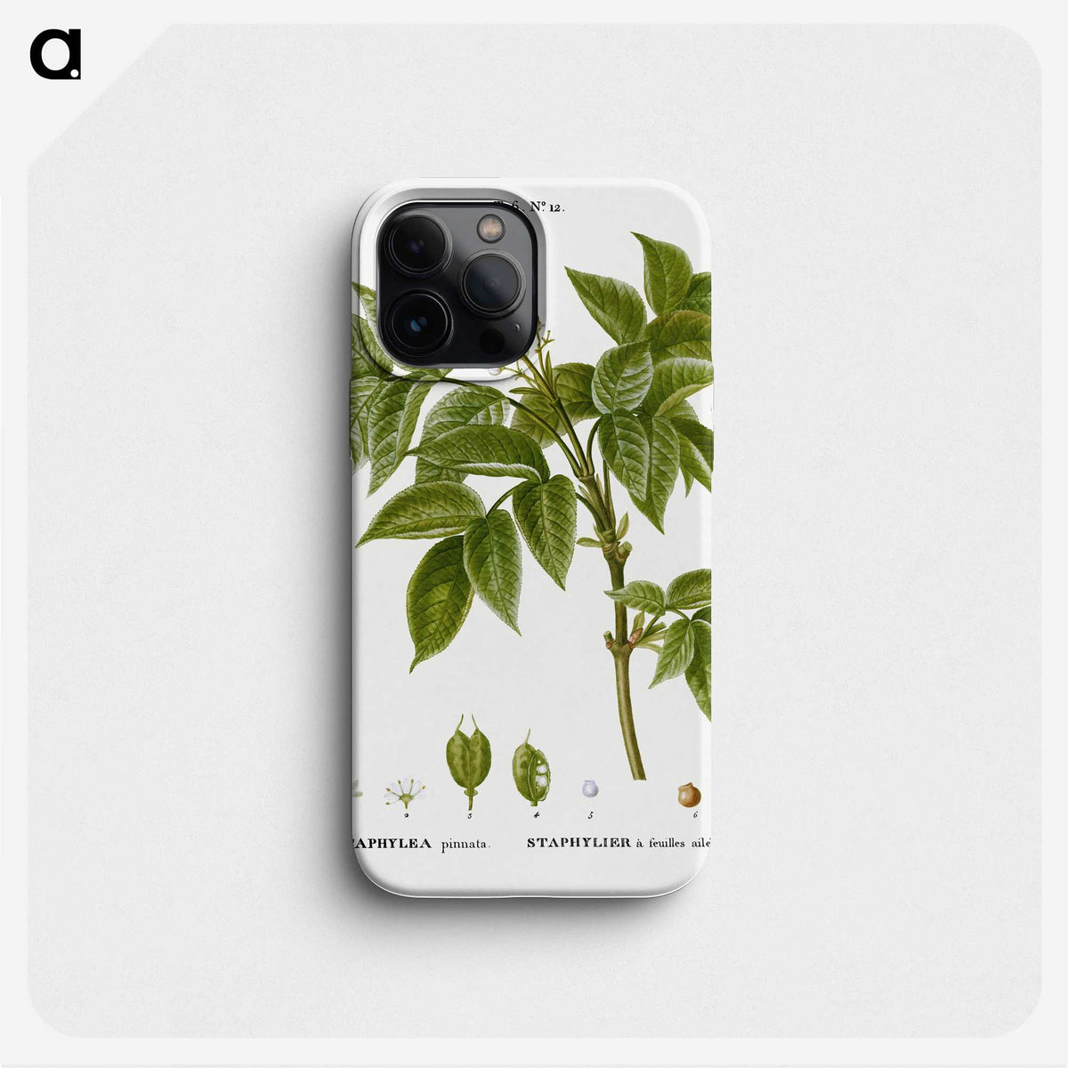3-45_Treatise-on-Trees-and-Shrubs_phone
