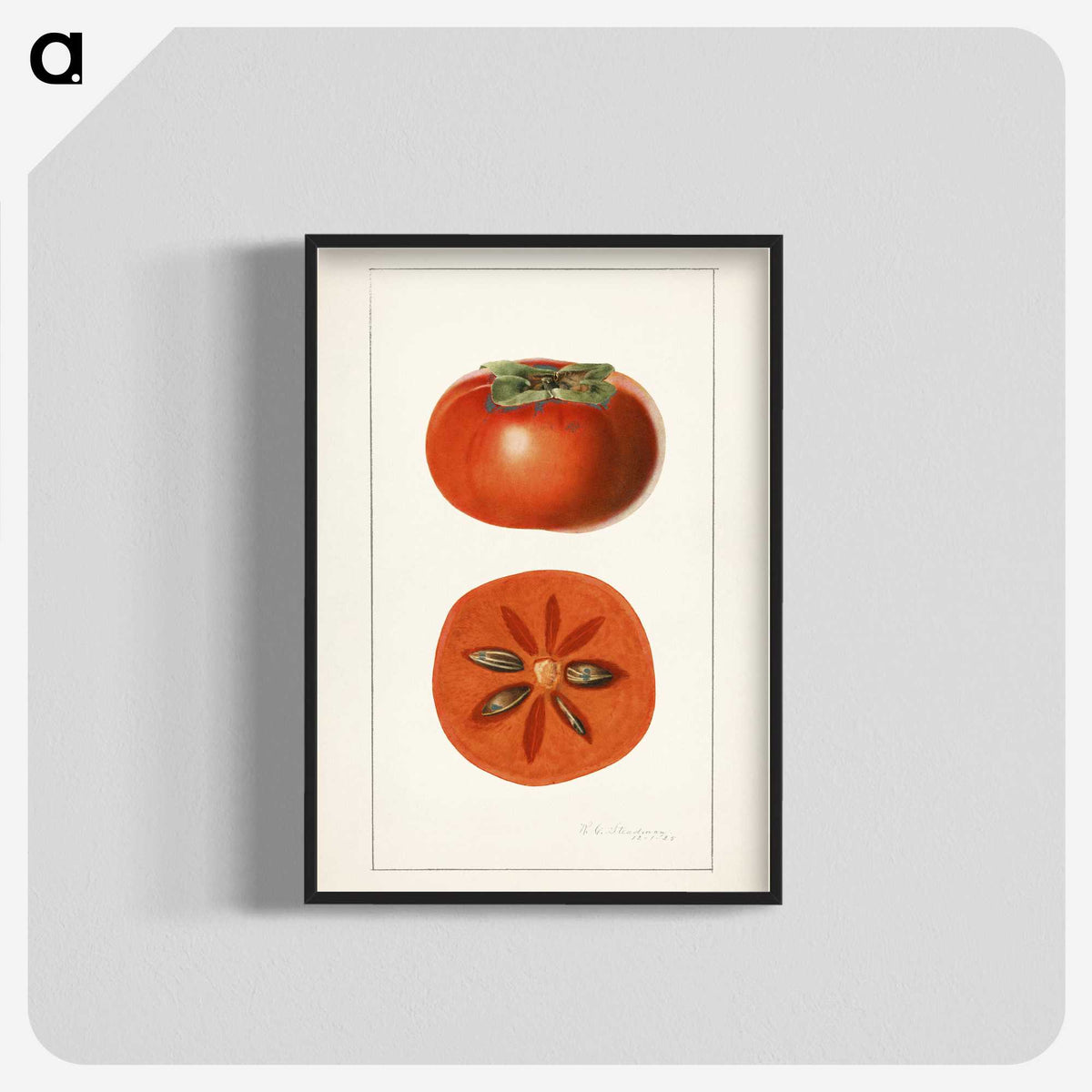 3-45_USDA-Watercolor-Fruit-Painting-Collection_blk-crop