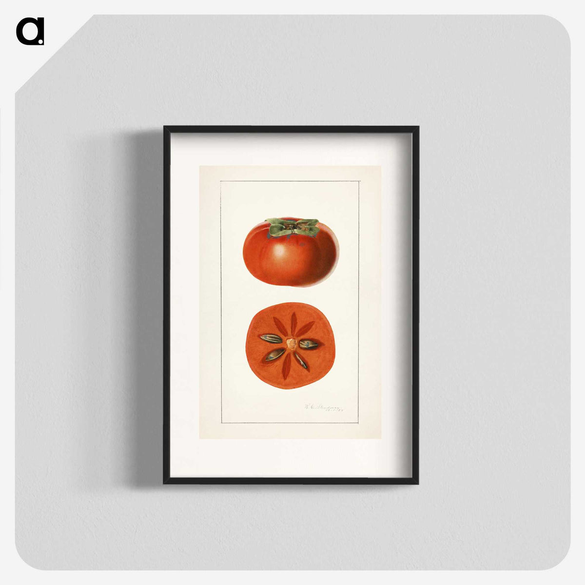 3-45_USDA-Watercolor-Fruit-Painting-Collection_blk