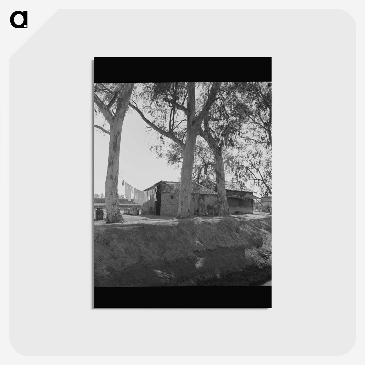 3-46_Dorothea-Lange_postcard