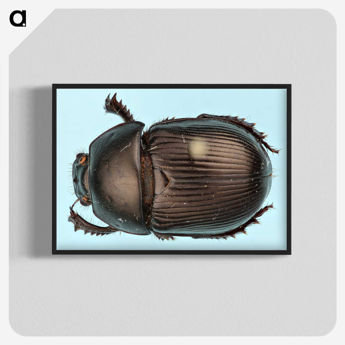 3-46_Insects-Unlocked-Project_blk-crop