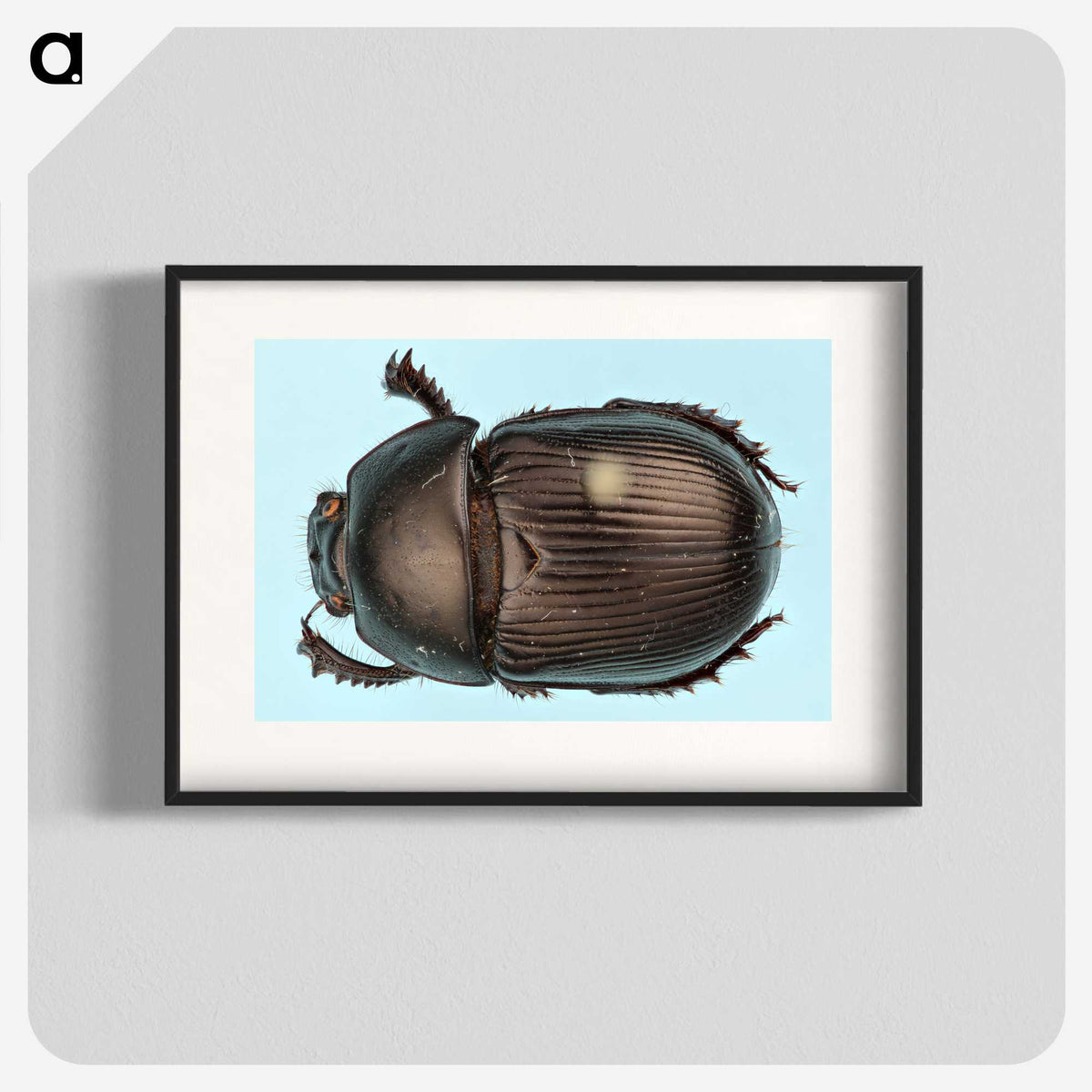 3-46_Insects-Unlocked-Project_blk