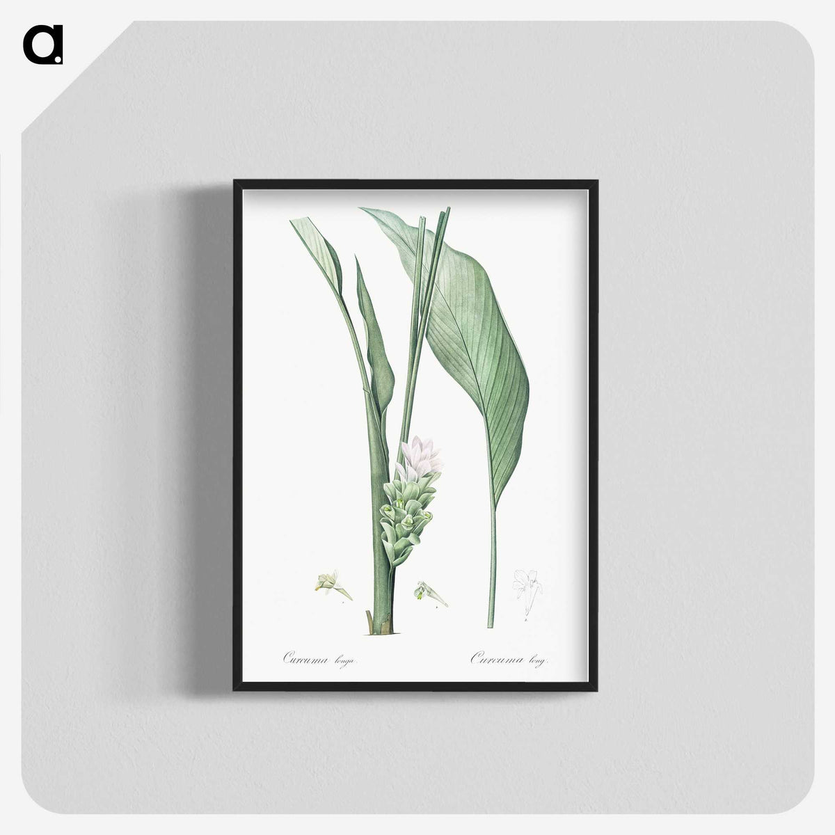 3-46_The-Lilies_blk-crop