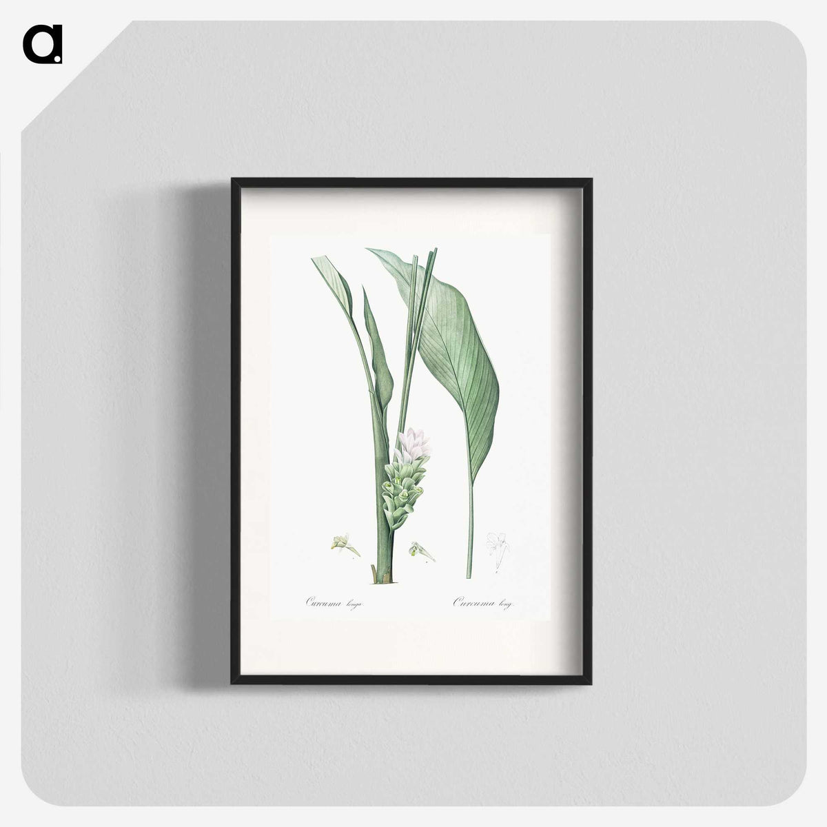 3-46_The-Lilies_blk