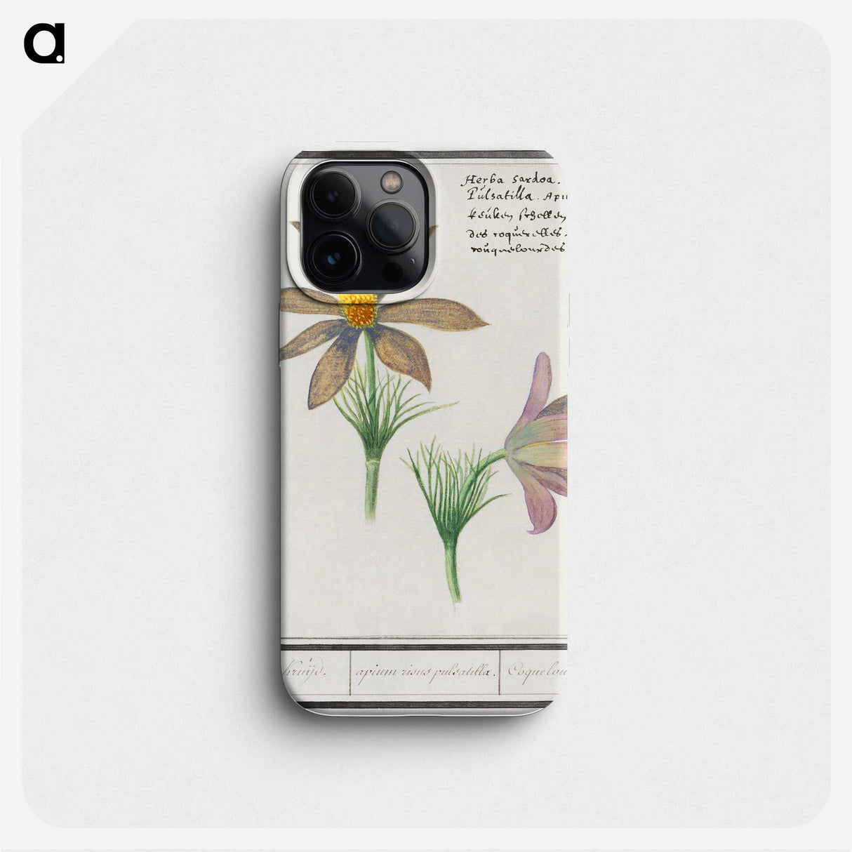 3-47_Anselmus-Boetius-de-Boodt_phone