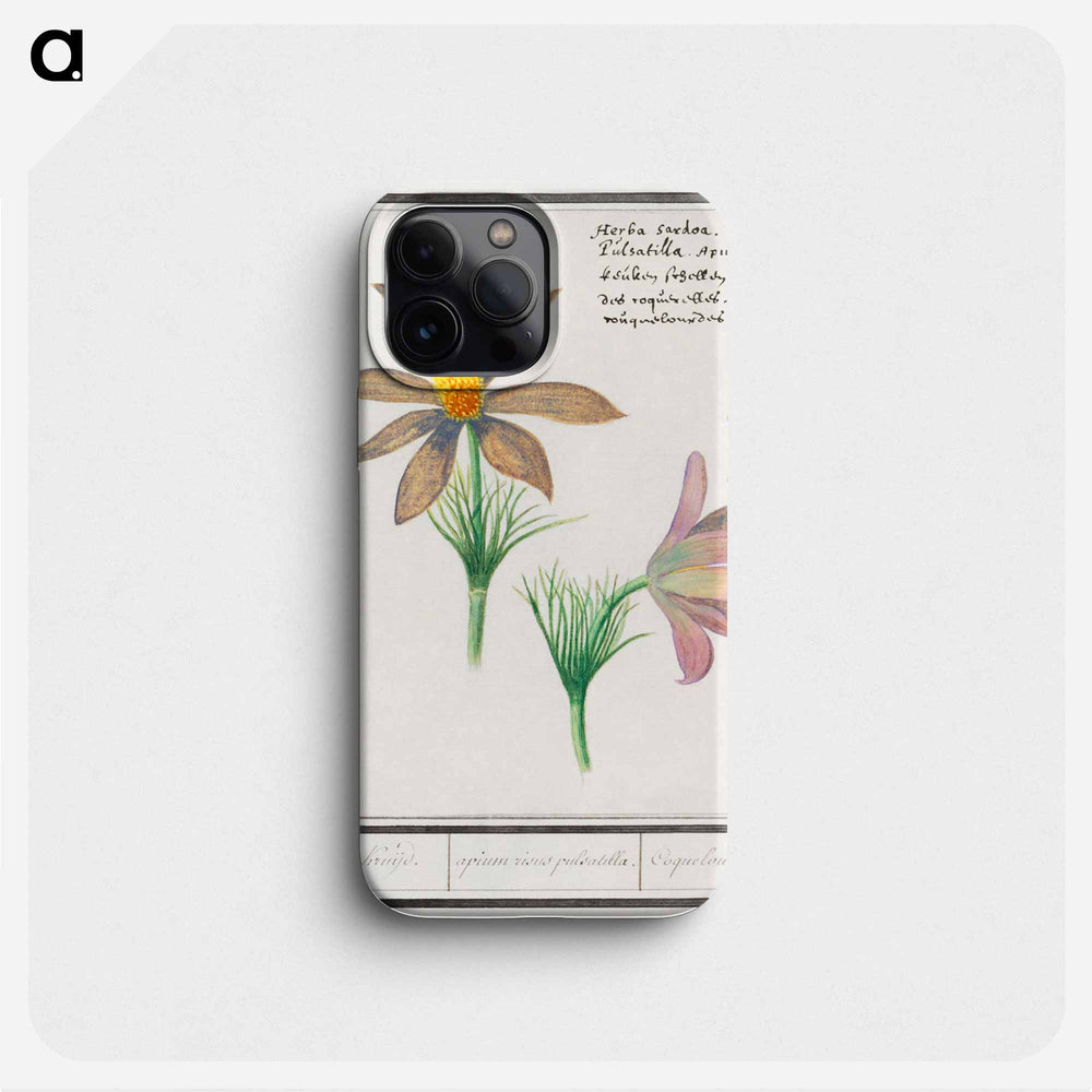 Anemone pulsatilla - アンセルムス ボエティウス デ ブート Phone Case.