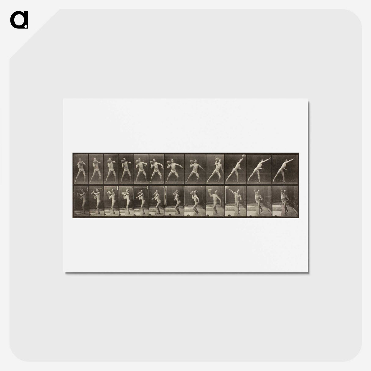 3-47_Eadweard-Muybridge_hagaki