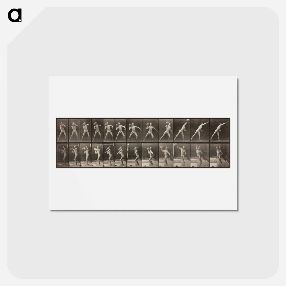 アートポストカード-Animal Locomotion, Plate 319
- エドワード マイブリッジ Postcard.
