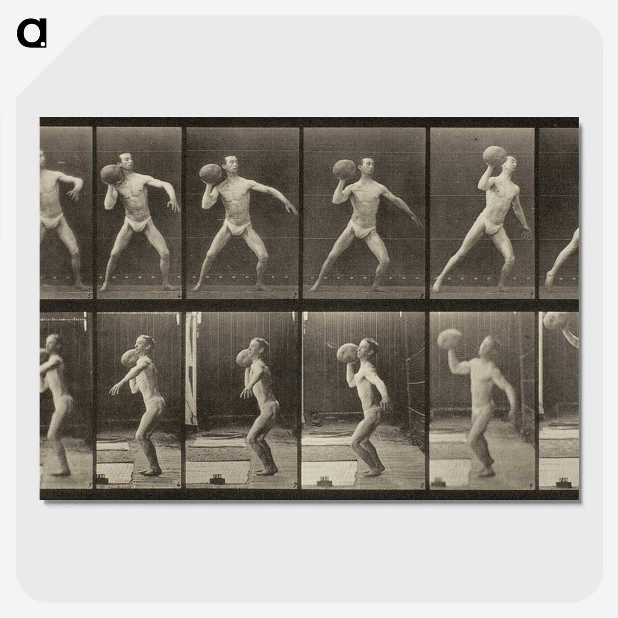 3-47_Eadweard-Muybridge_picture-crop