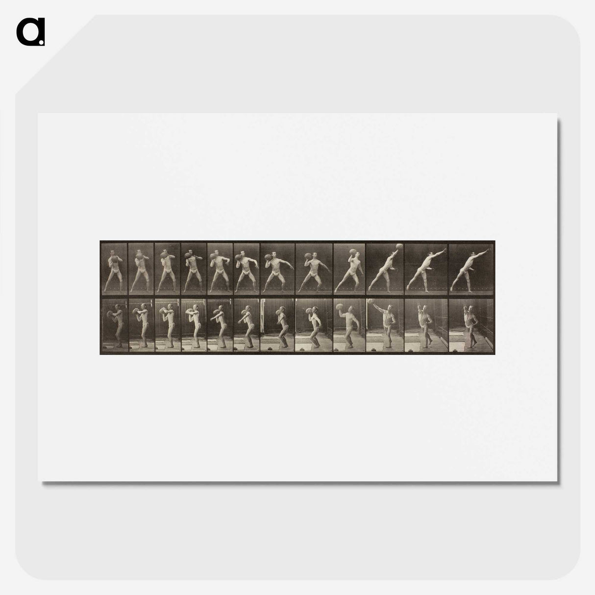 3-47_Eadweard-Muybridge_picture