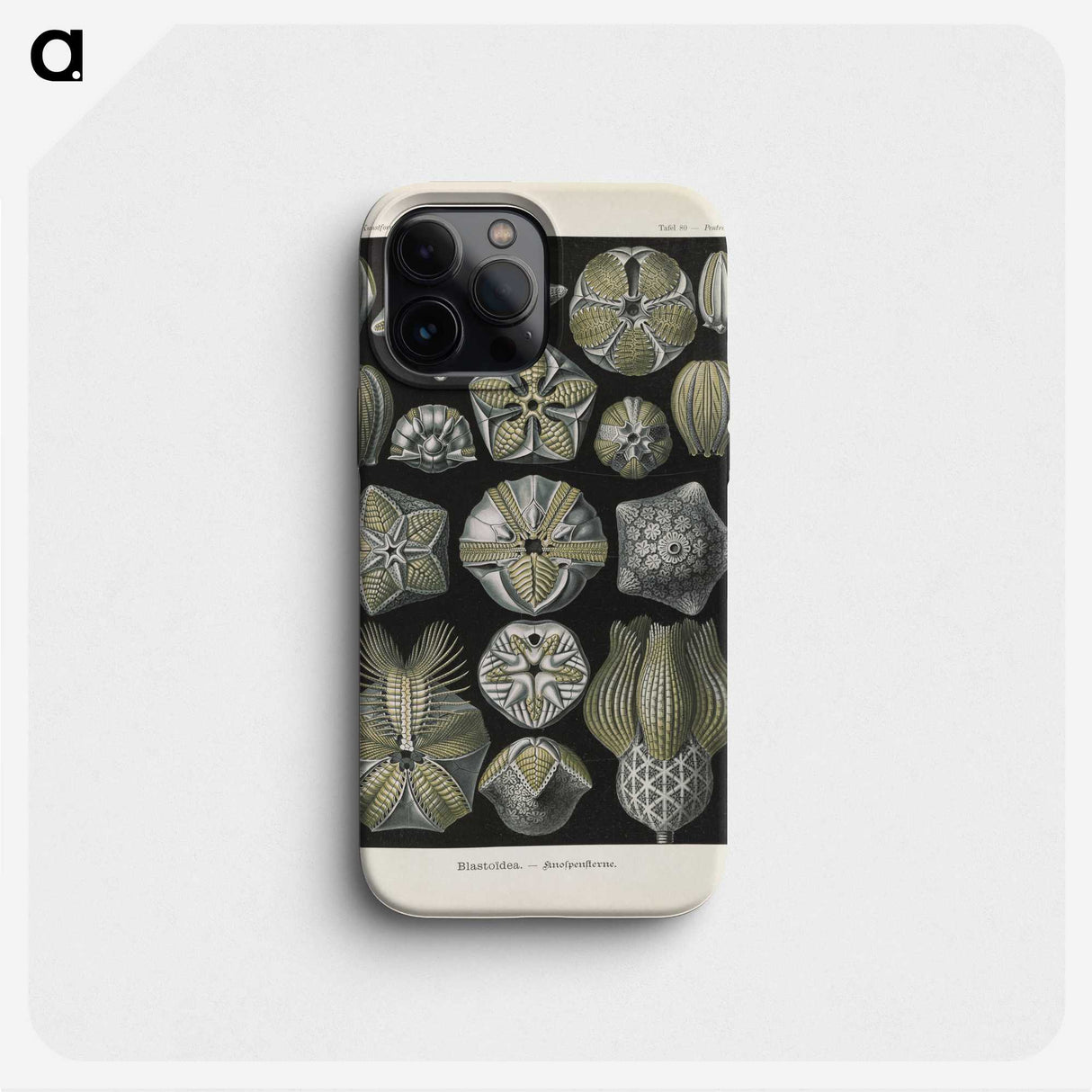 3-47_Ernst-Haeckel_phone