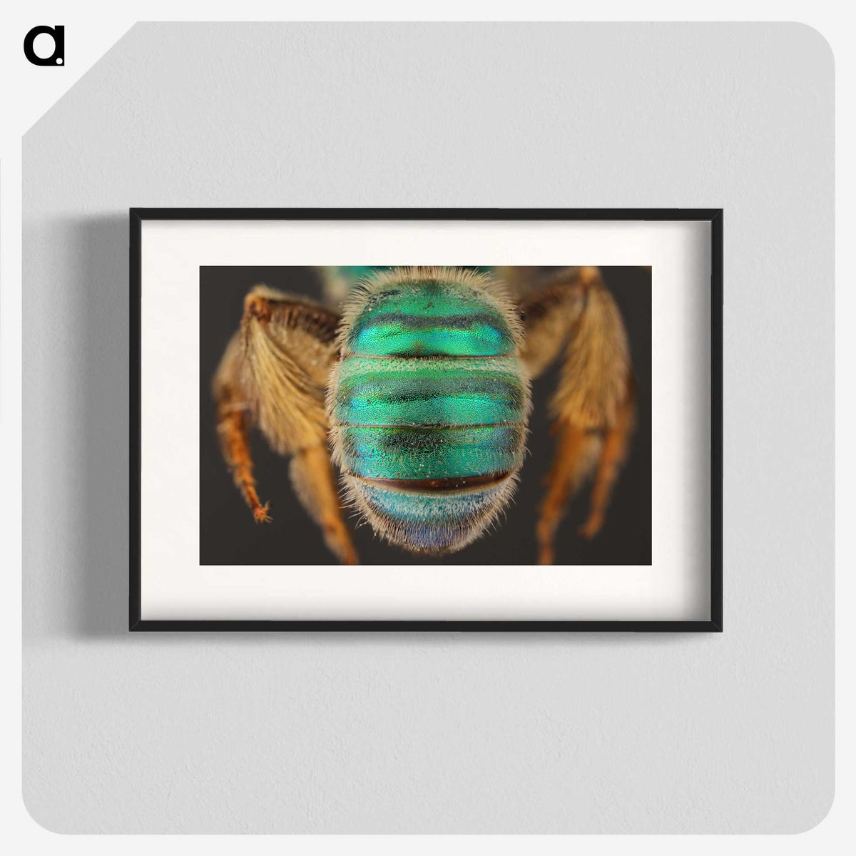 3-47_Insects-Unlocked-Project_blk