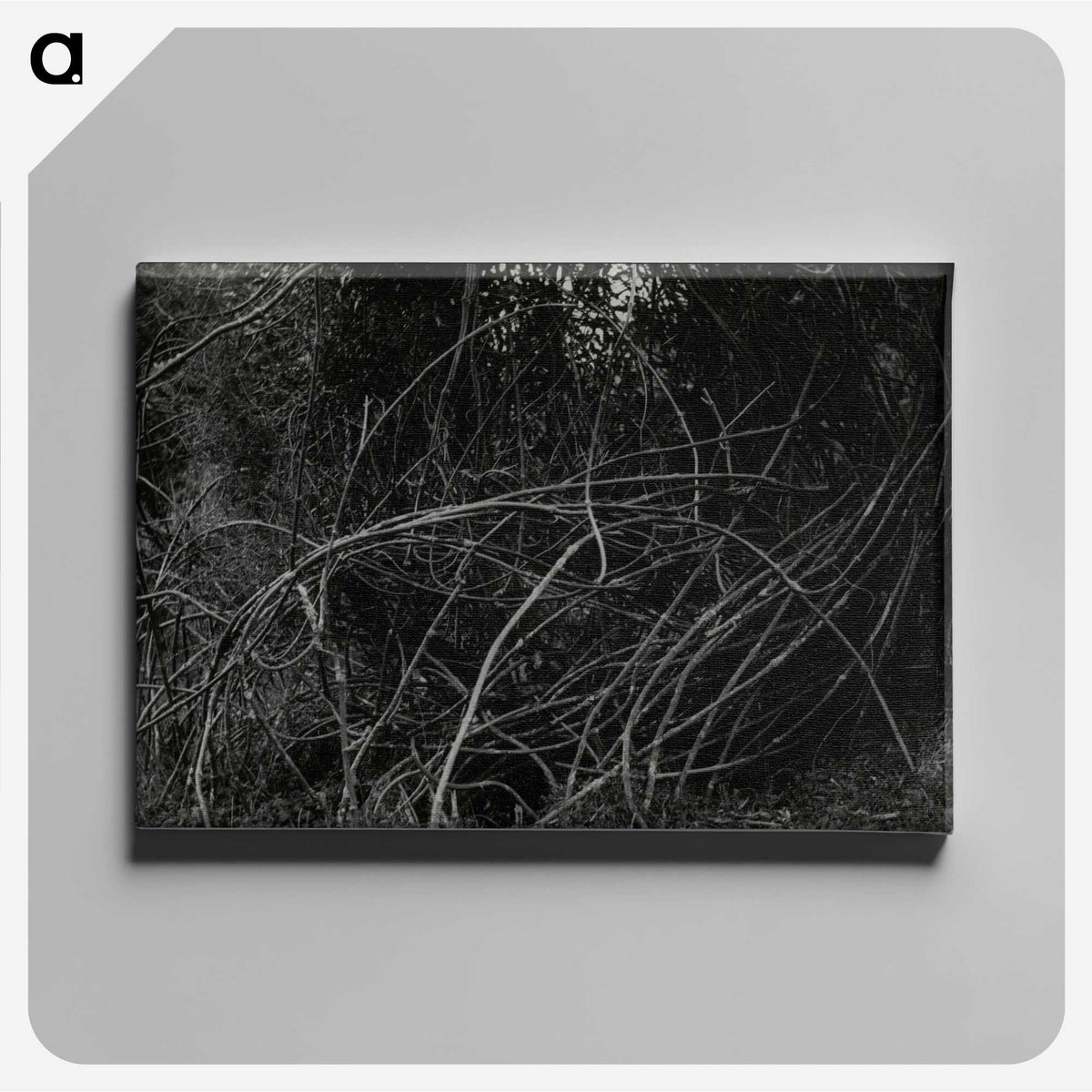 3-47_Leslie-Adkin_canvas