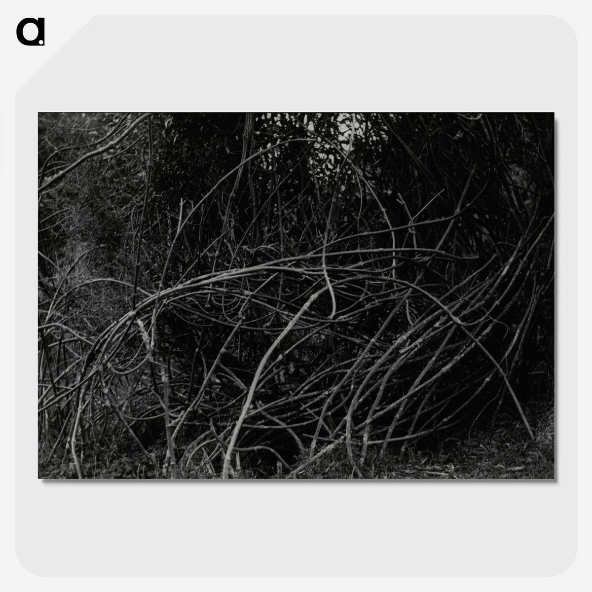 3-47_Leslie-Adkin_picture-crop