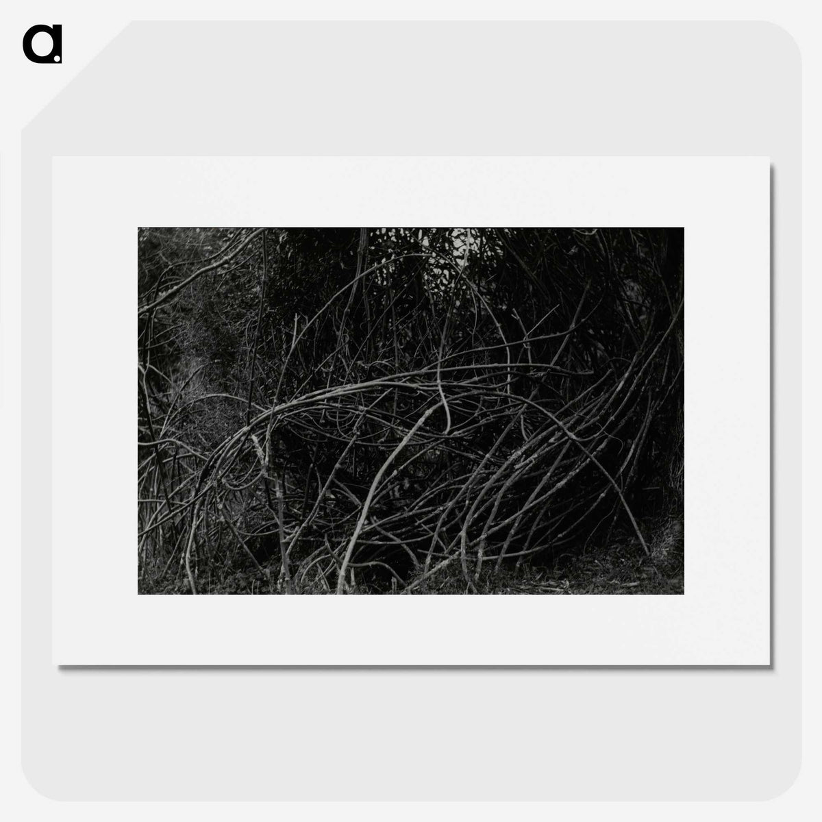 3-47_Leslie-Adkin_picture