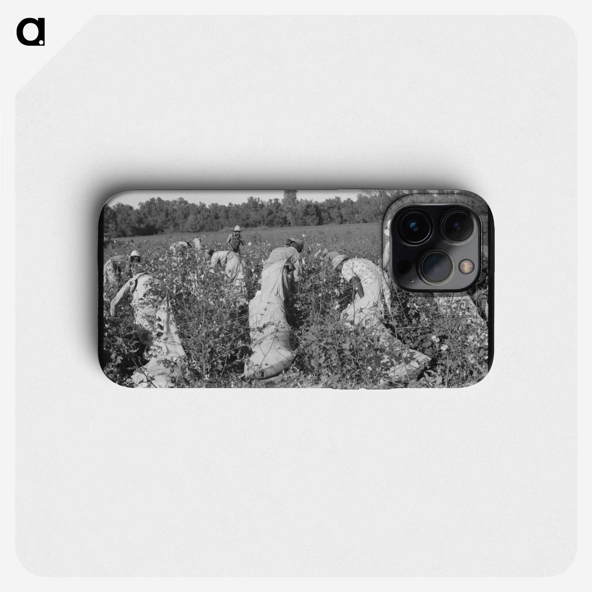 3-47_Marion-Post-Wolcott_phone