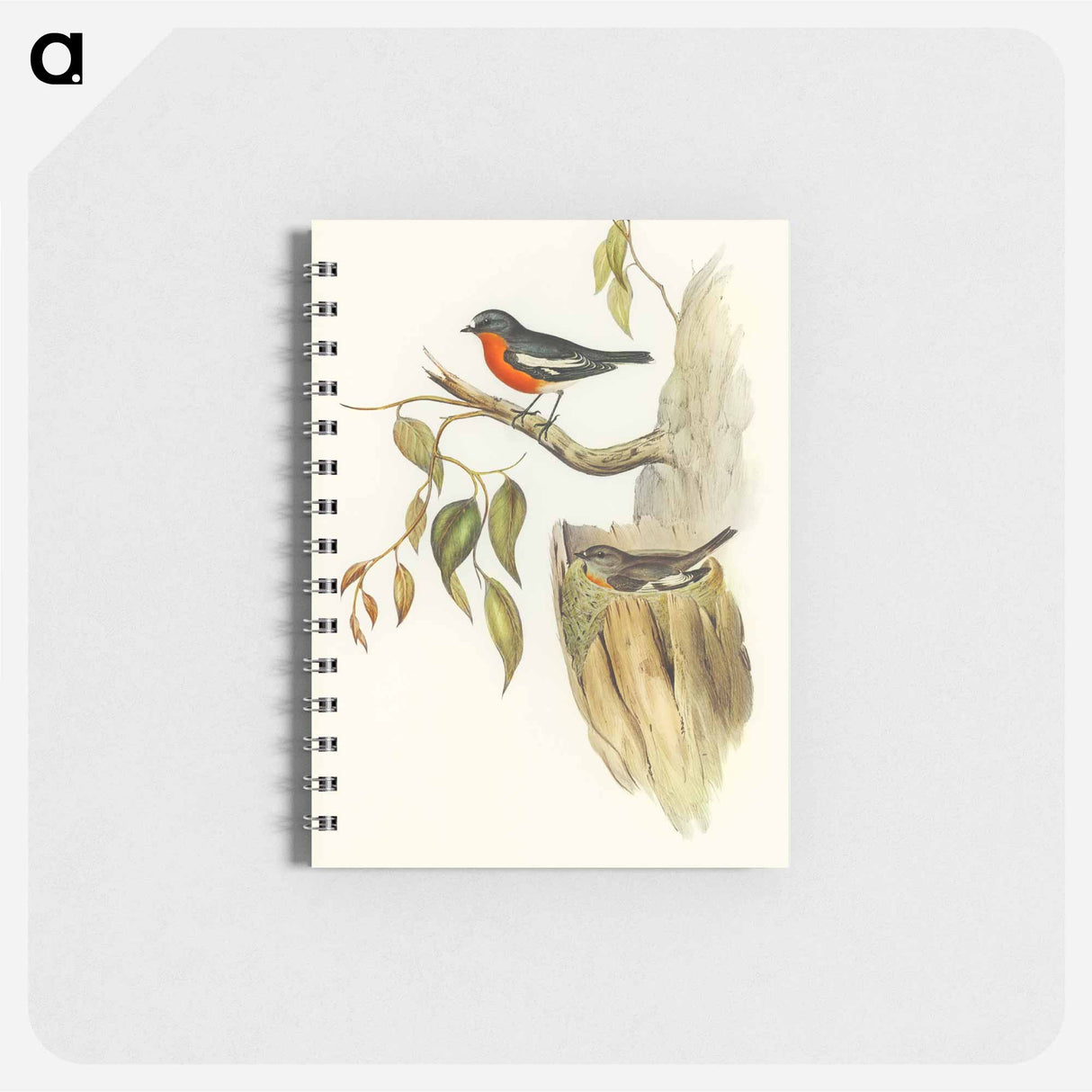 アートメモ帳-Flame-breasted Robin
- オーストラリアの鳥 Memo.