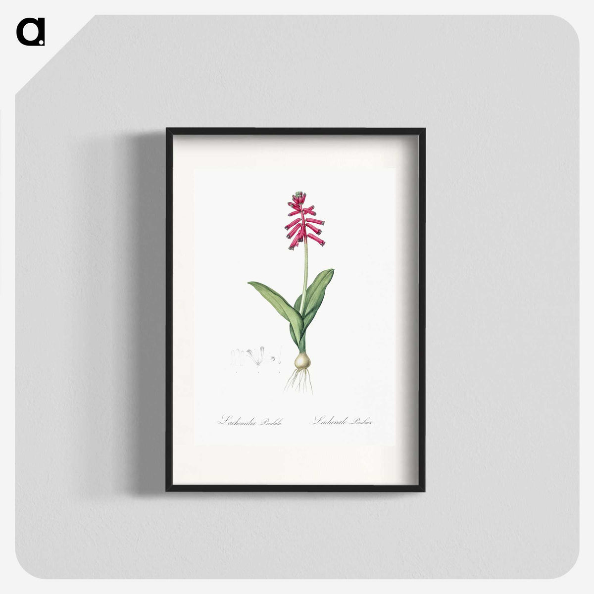 3-47_The-Lilies_blk
