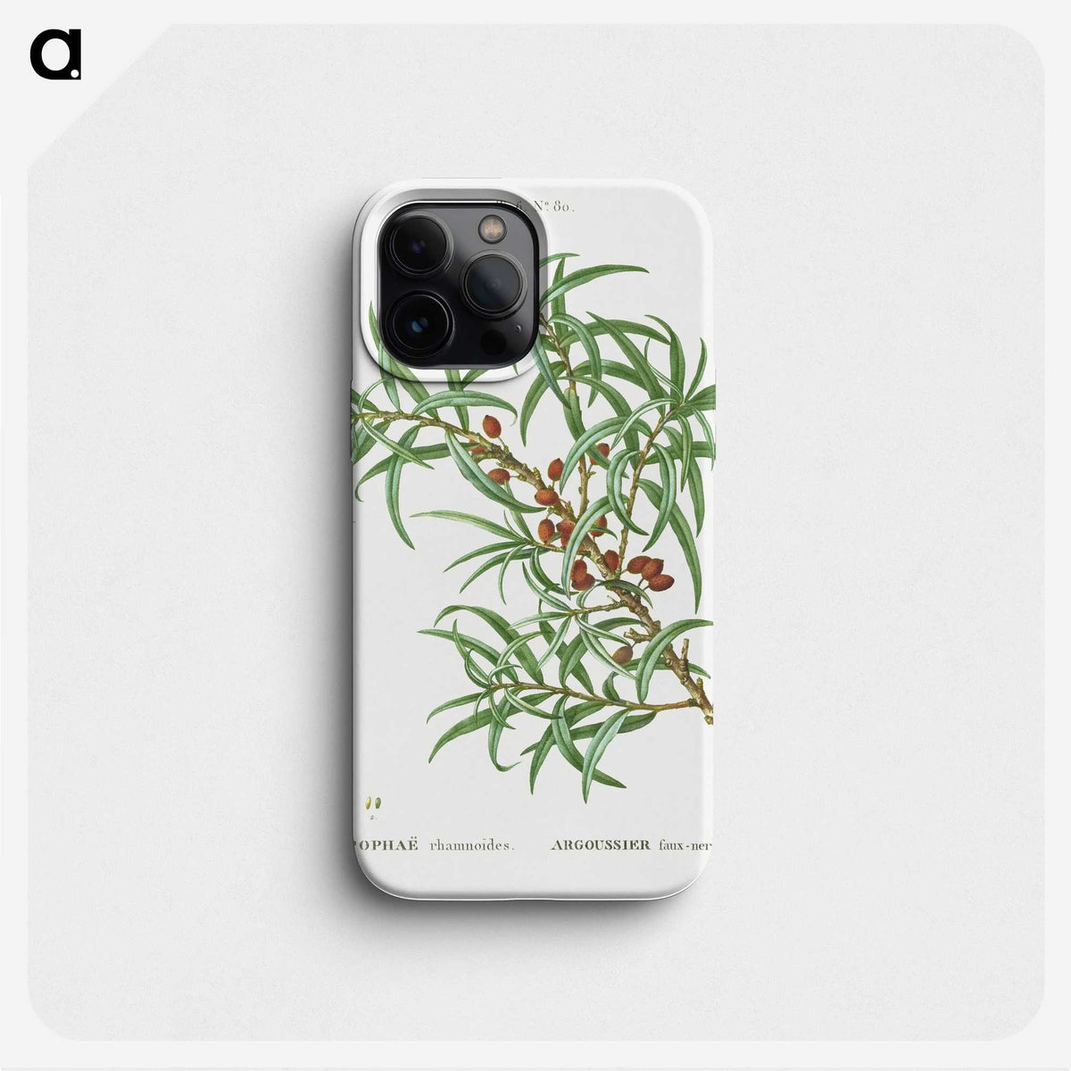 3-47_Treatise-on-Trees-and-Shrubs_phone