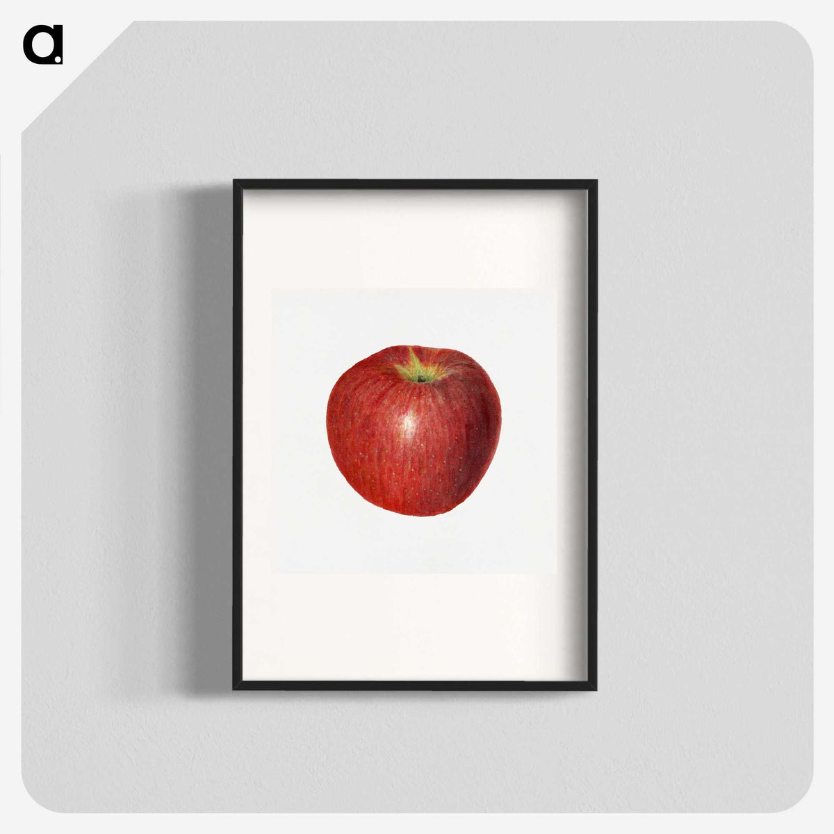 3-47_USDA-Watercolor-Fruit-Painting-Collection_blk
