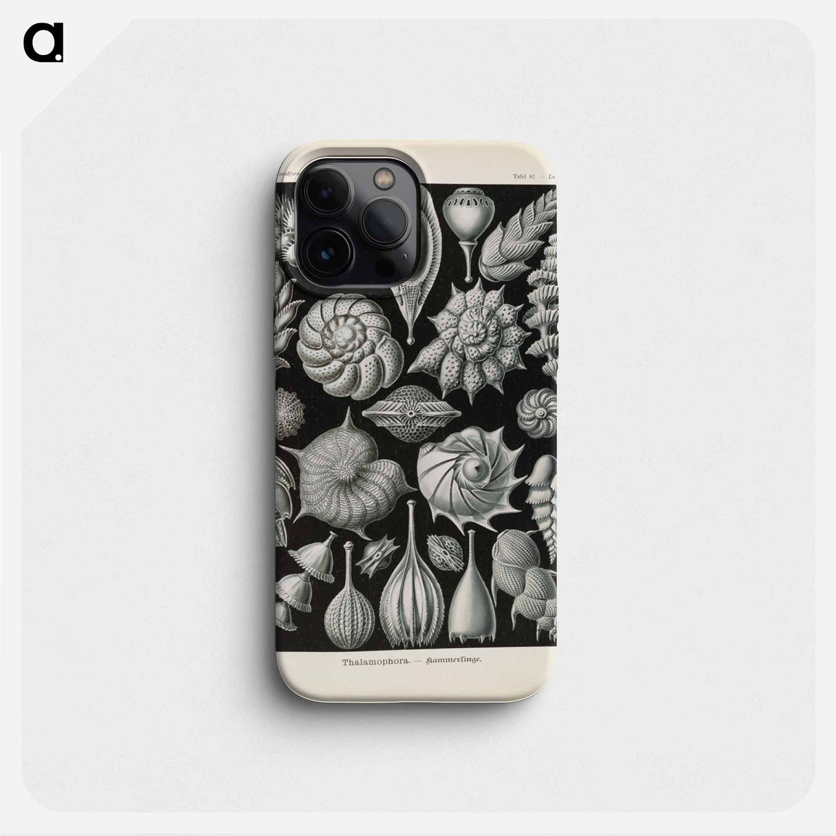 Marine life illustration - エルンスト ヘッケル Phone Case.