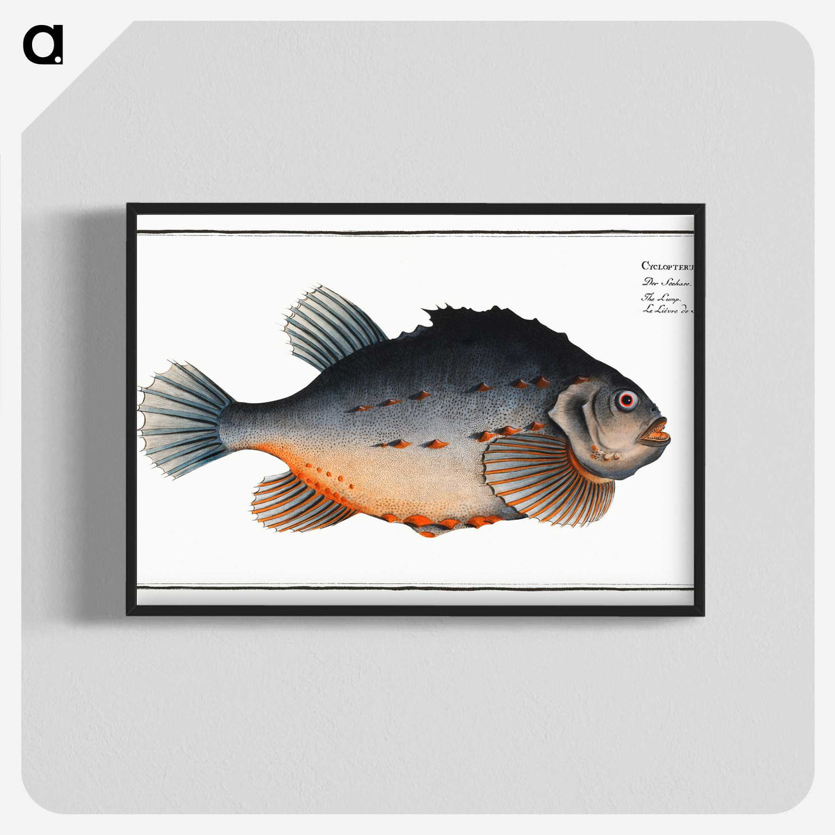 3-48_Ichtyologie-ou-Histoire-naturelle_blk-crop