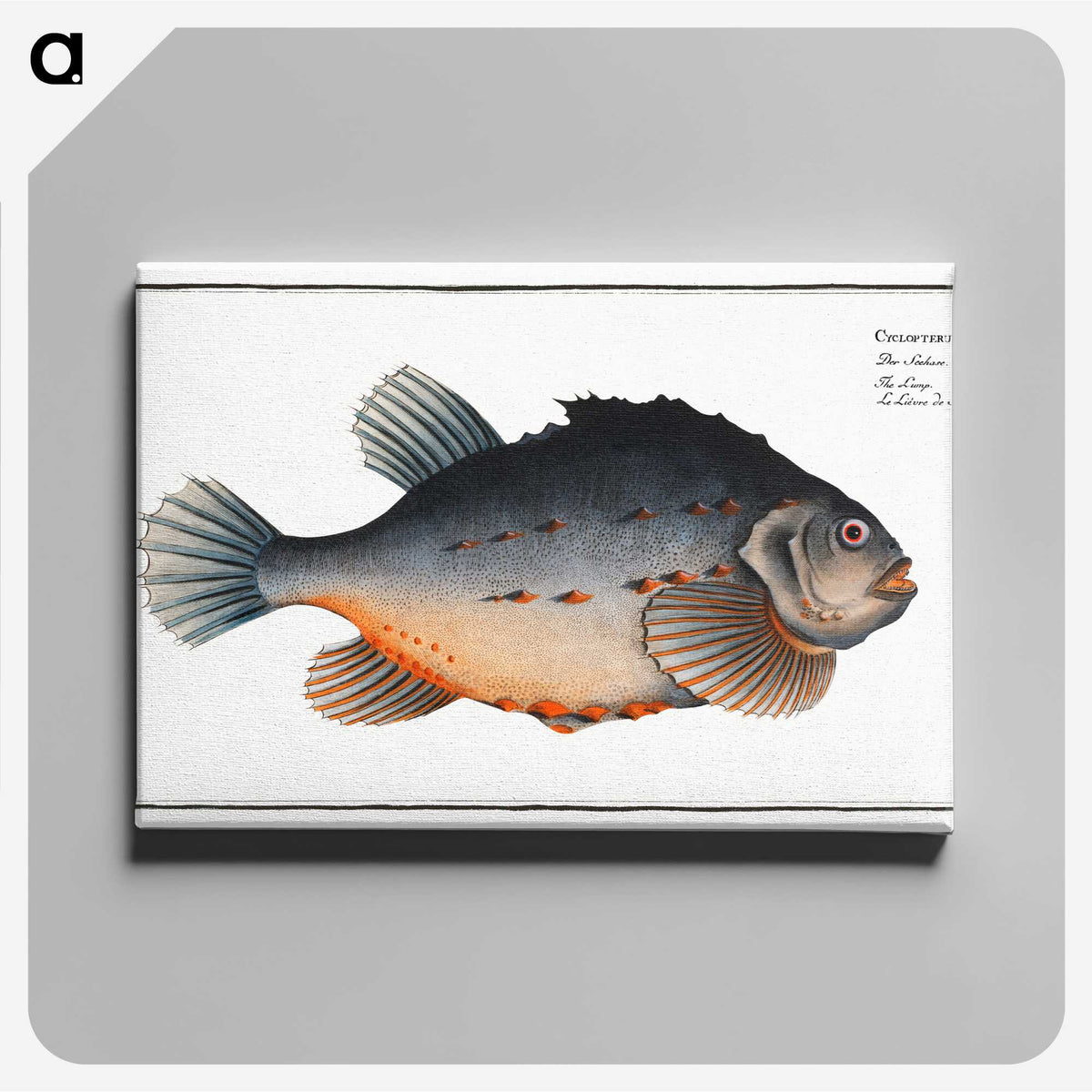 3-48_Ichtyologie-ou-Histoire-naturelle_canvas
