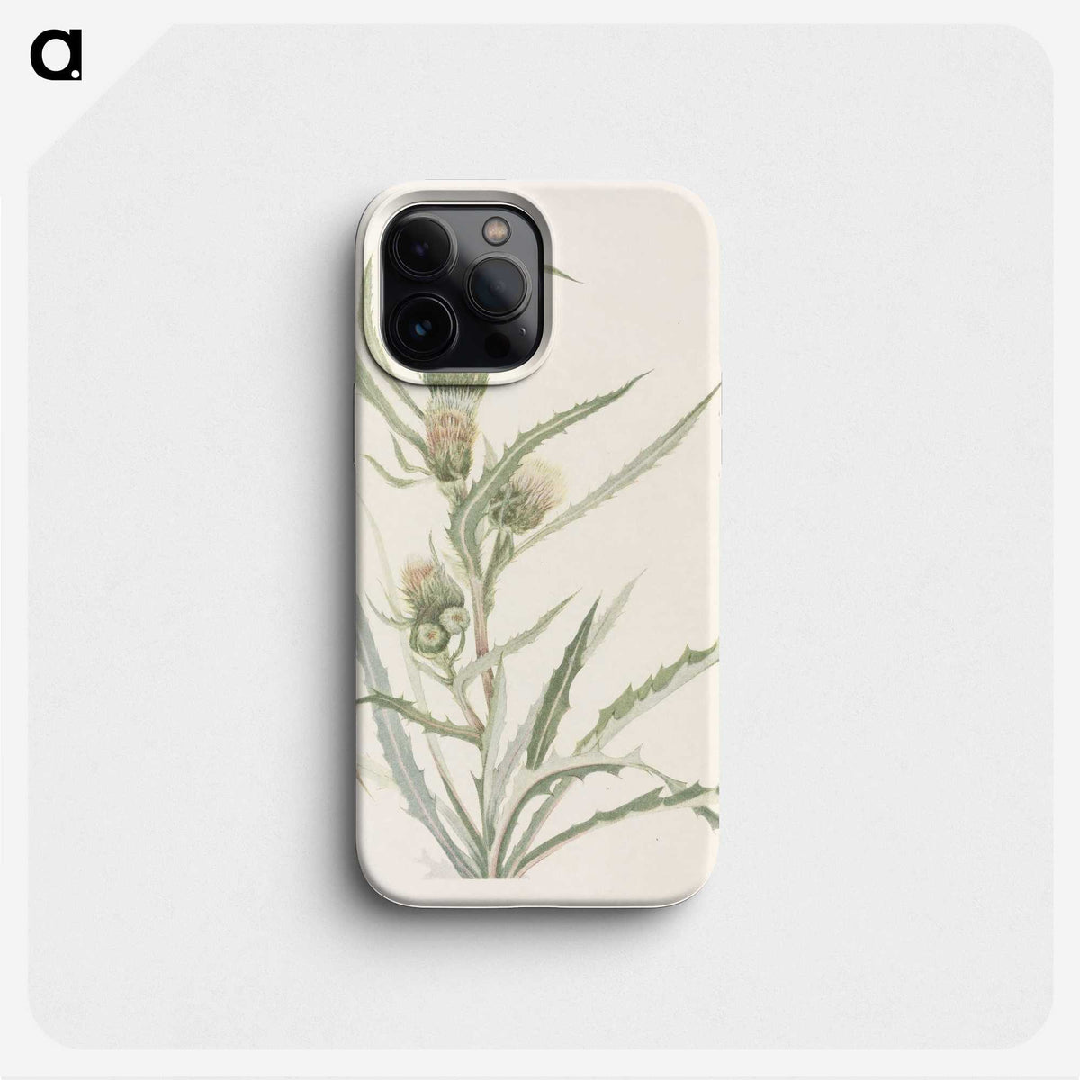 3-48_Mary-Vaux-Walcott_phone