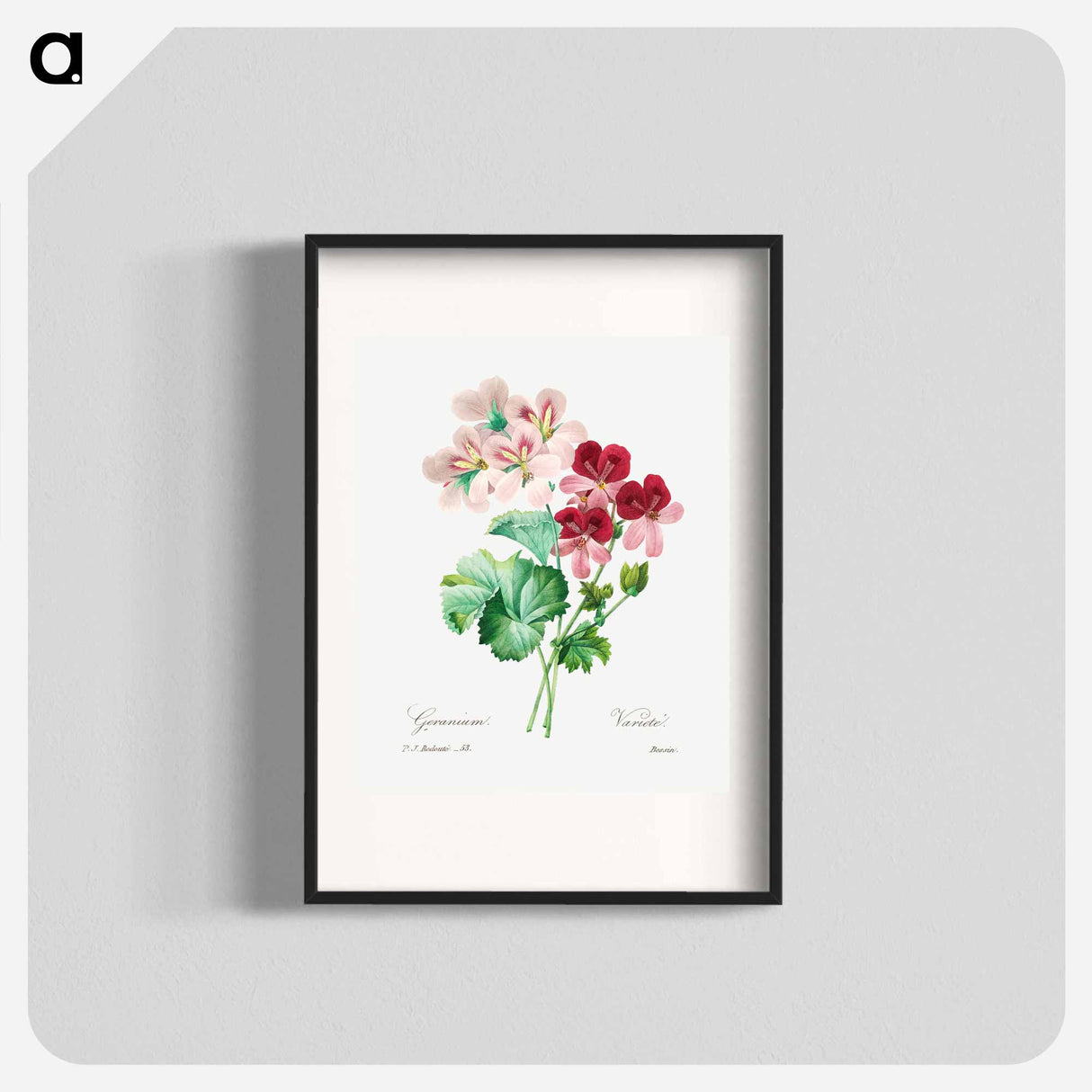 Cranesbill - Pierre Joseph Redouté Poster.