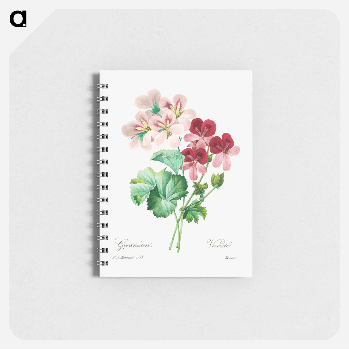 Cranesbill - ピエール ジョゼフ ルドゥーテ Memo.