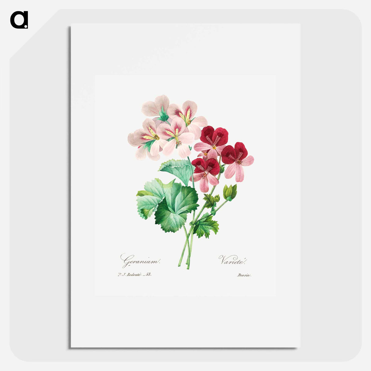 Cranesbill - Pierre Joseph Redouté Poster.