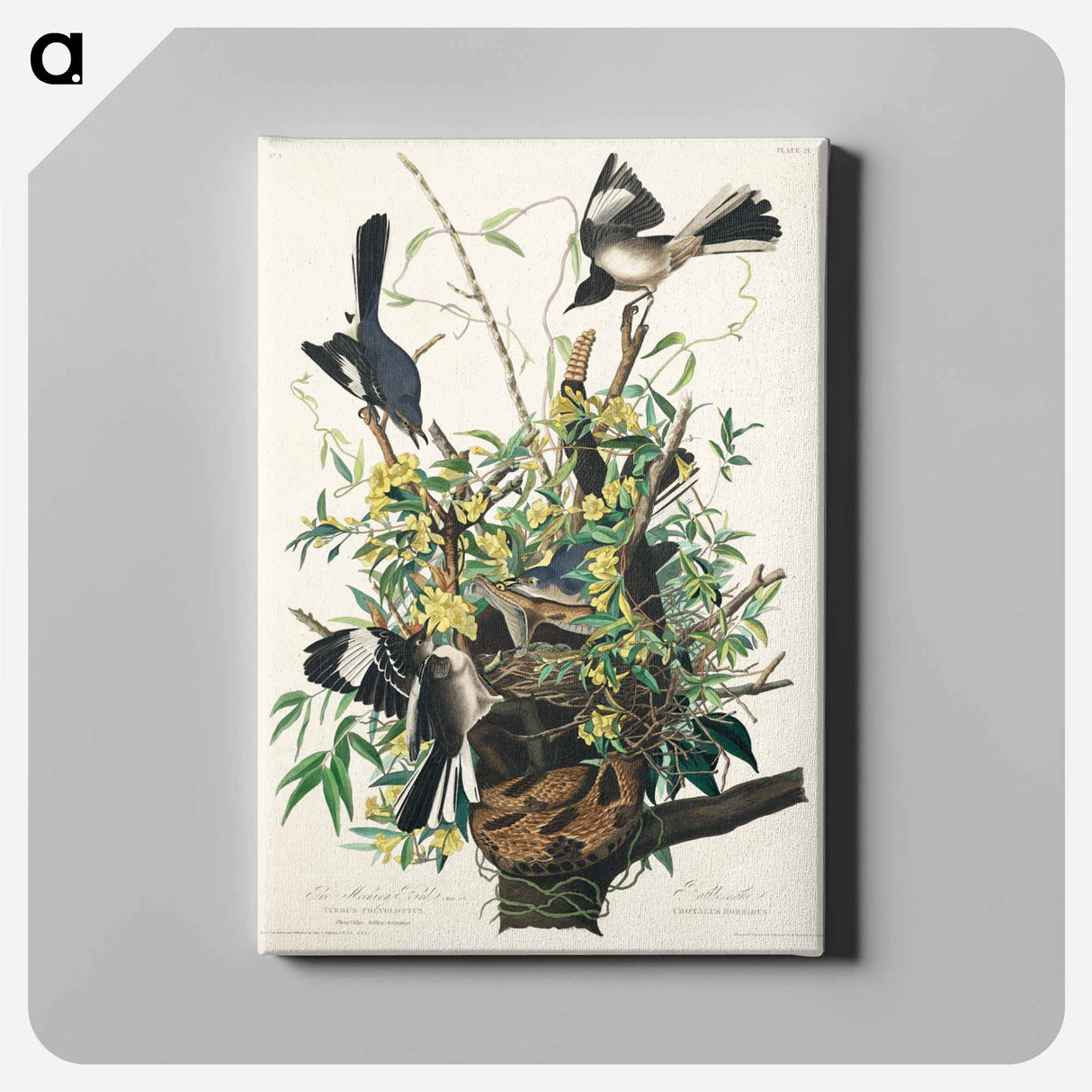 アートパネル-Mocking Bird from Birds of America
- アメリカの鳥たち Canvas.