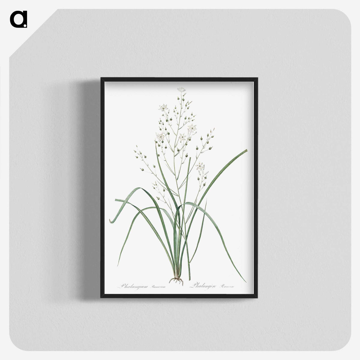 3-48_The-Lilies_blk-crop