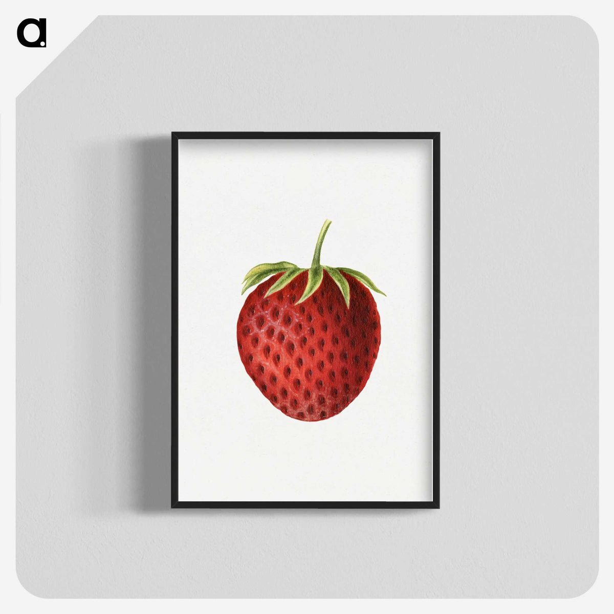 3-48_USDA-Watercolor-Fruit-Painting-Collection_blk-crop
