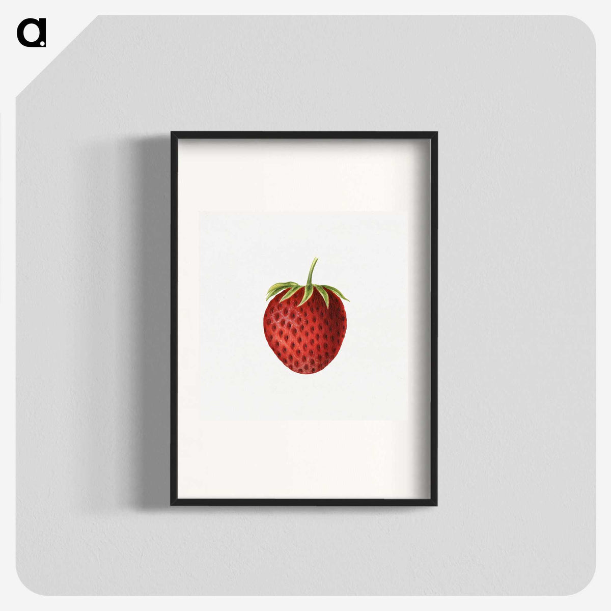 3-48_USDA-Watercolor-Fruit-Painting-Collection_blk