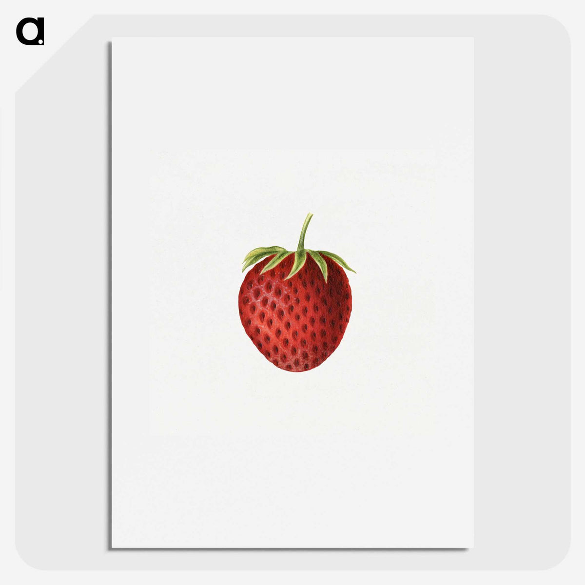 3-48_USDA-Watercolor-Fruit-Painting-Collection_picture