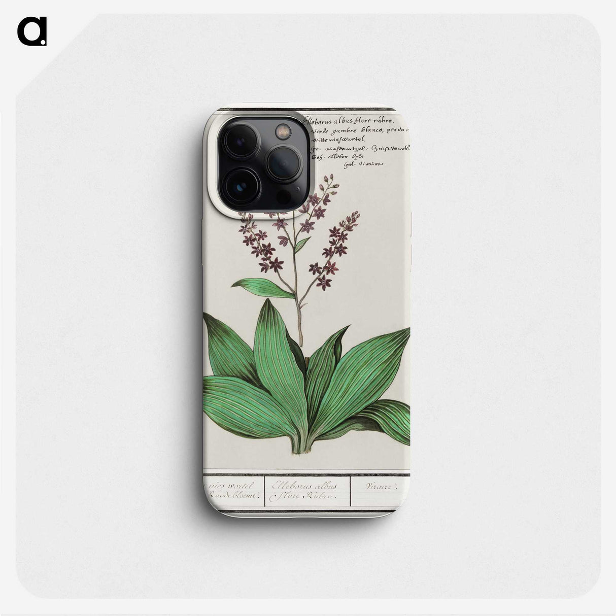 3-49_Anselmus-Boetius-de-Boodt_phone