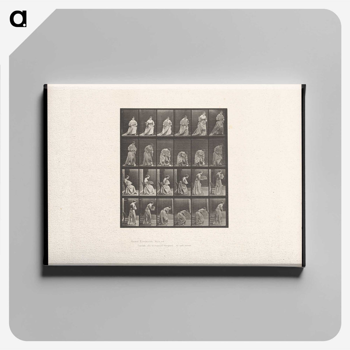 3-49_Eadweard-Muybridge_canvas