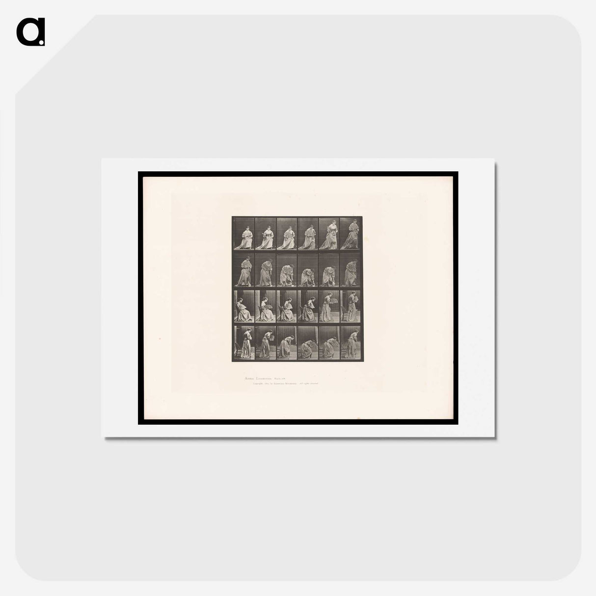 3-49_Eadweard-Muybridge_hagaki