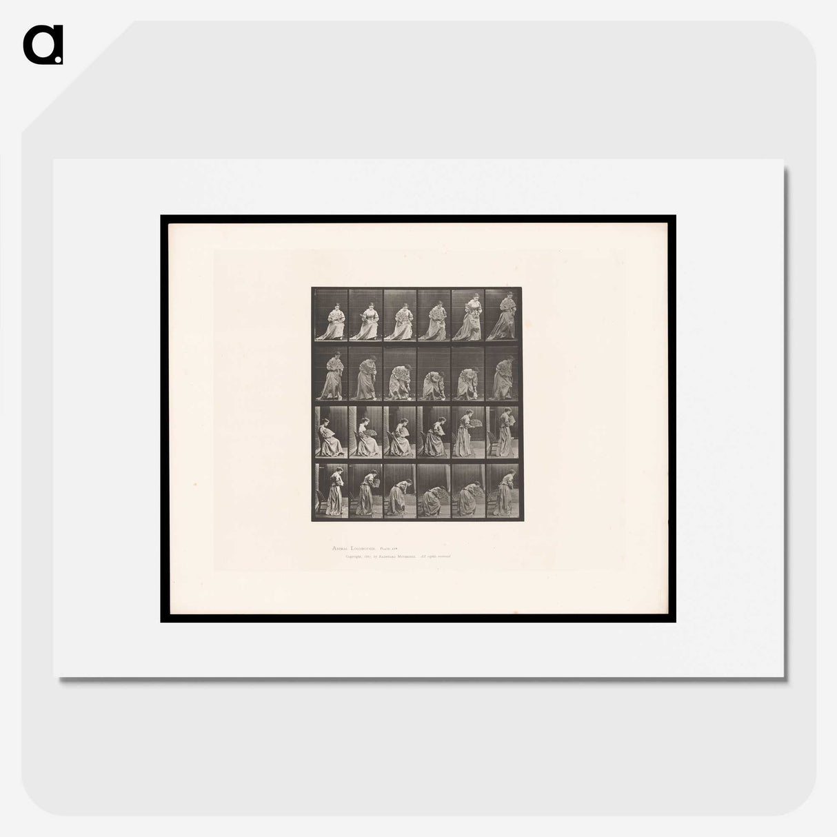 3-49_Eadweard-Muybridge_picture