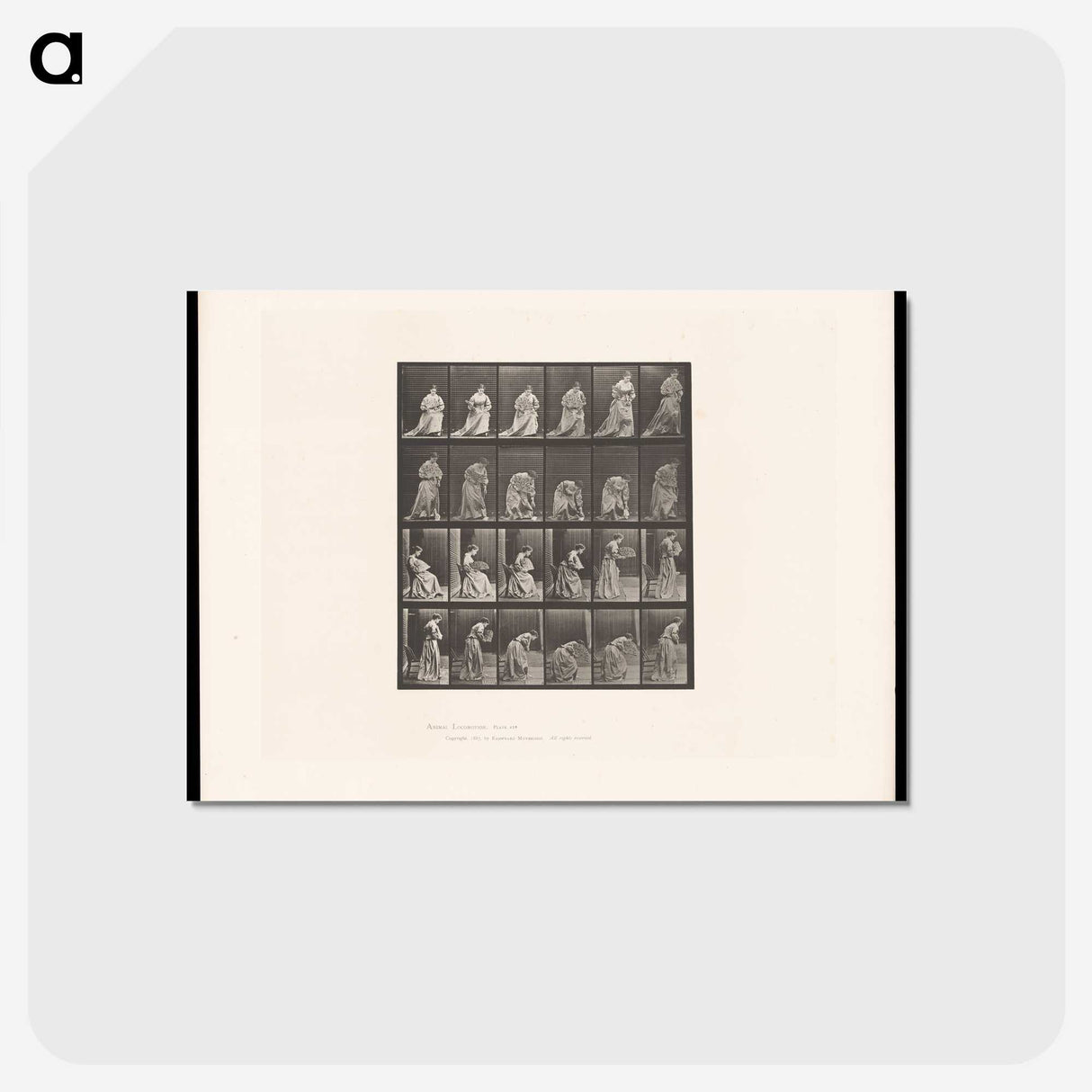 3-49_Eadweard-Muybridge_postcard